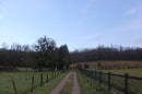 entre Chavençon et son bois
